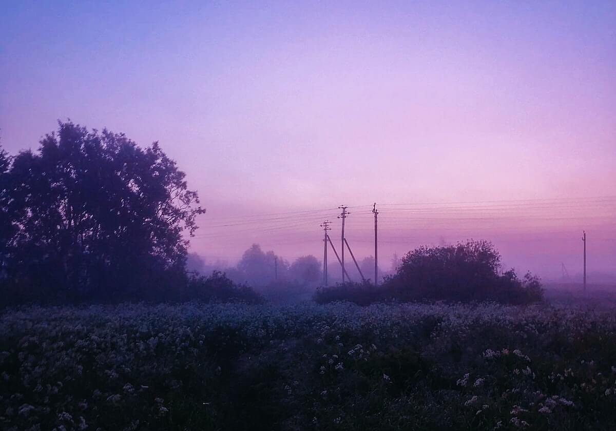 字母哥在世界杯中的赛后指控,开云官网和云开体育入口提供少人注意的关键内幕